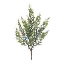 Load image into Gallery viewer, Variegated Juniper Spray (Set of 12)