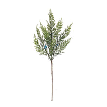 Load image into Gallery viewer, Variegated Juniper Spray (Set of 12)