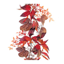 Load image into Gallery viewer, Mixed Fall Foliage Garland 6'L