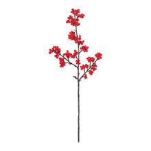 Load image into Gallery viewer, Berry Twig Spray (Set of 6)