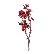 Load image into Gallery viewer, Berry Twig Branch (Set of 12)