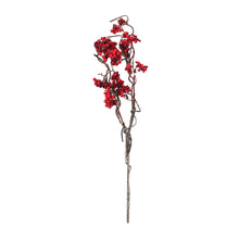 Load image into Gallery viewer, Berry Twig Branch (Set of 12)