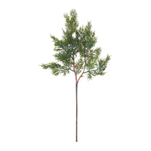 Load image into Gallery viewer, Pine Spray (Set of 12)