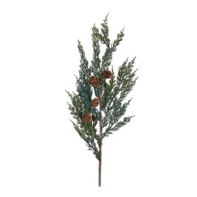 Load image into Gallery viewer, Pine Spray (Set of 24)
