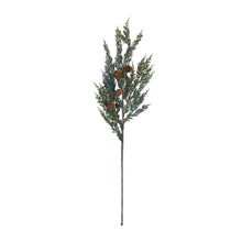 Load image into Gallery viewer, Pine Spray (Set of 24)