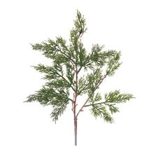 Load image into Gallery viewer, Pine Spray (Set of 12)