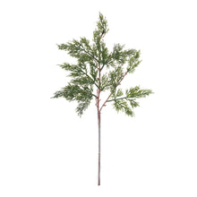 Load image into Gallery viewer, Pine Spray (Set of 12)