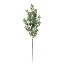 Load image into Gallery viewer, Snow Pine Spray (Set of 6)