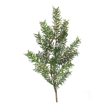 Load image into Gallery viewer, Pine Spray (Set of 12)