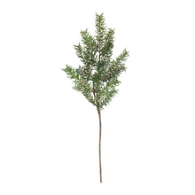 Load image into Gallery viewer, Pine Spray (Set of 12)