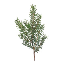 Load image into Gallery viewer, Pine Spray (Set of 24)
