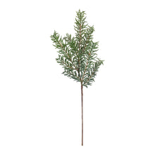 Load image into Gallery viewer, Pine Spray (Set of 24)
