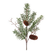 Load image into Gallery viewer, Pine Spray (Set of 12)