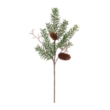Load image into Gallery viewer, Pine Spray (Set of 12)