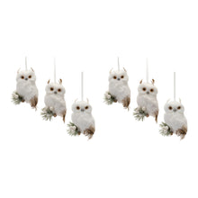 Load image into Gallery viewer, Feathered Owl Ornament (Set of 6(