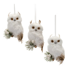 Load image into Gallery viewer, Feathered Owl Ornament (Set of 6(