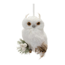 Load image into Gallery viewer, Feathered Owl Ornament (Set of 6(
