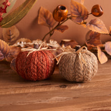 Load image into Gallery viewer, Braided Fabric Pumpkin (Set of 2)