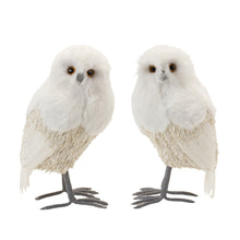 Load image into Gallery viewer, Winter Owl DŽcor (Set of 2)