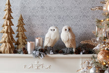 Load image into Gallery viewer, Winter Owl DŽcor (Set of 2)
