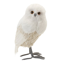 Load image into Gallery viewer, Winter Owl DŽcor (Set of 2)