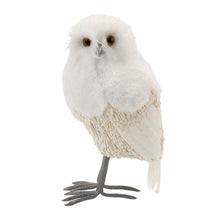 Load image into Gallery viewer, Winter Owl DŽcor (Set of 2)