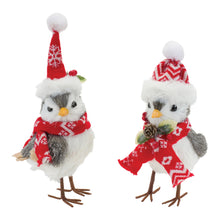 Load image into Gallery viewer, Winter Bird with Hat and Scarf Accent (Set of 6)