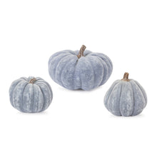 Load image into Gallery viewer, Distressed Pumpkin (Set of 3)