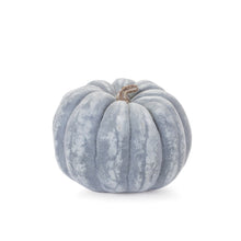 Load image into Gallery viewer, Distressed Pumpkin (Set of 3)