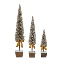 Load image into Gallery viewer, Potted Bottle Brush Pine Tree (Set of 3)