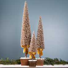 Load image into Gallery viewer, Potted Bottle Brush Pine Tree (Set of 3)