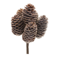 Load image into Gallery viewer, Pine Cone Bundle (Set of 12)
