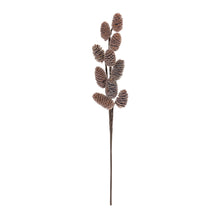 Load image into Gallery viewer, Pine Cone Spray (Set of 6)