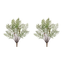 Load image into Gallery viewer, Fern Bush (Set of 2)