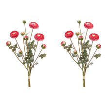 Load image into Gallery viewer, Ranunculus Bundle (Set of 2)