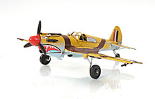 Load image into Gallery viewer, 1941 Curtiss Hawk 81A 1:29