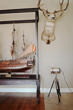 Load image into Gallery viewer, Alum Spot Light On Wooden Stand