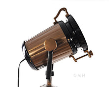 Load image into Gallery viewer, Alum/Steel Spot Light Wood Stand Textured Glass