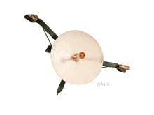 Load image into Gallery viewer, Galileo Spacecraft Model