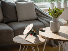 Load image into Gallery viewer, Galileo Spacecraft Model