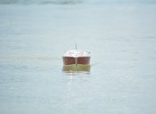 Load image into Gallery viewer, Riva Aquarama Painted With RC Motor