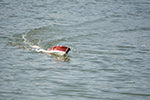 Load image into Gallery viewer, Riva Aquarama With RC Motor Medium