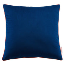 Load image into Gallery viewer, Accentuate 18" Performance Velvet Throw Pillow