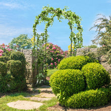 Load image into Gallery viewer, Garden Arch Arbor Trellis Patio Plant Stand Rack Archway-Black