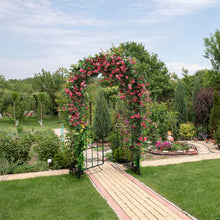 Load image into Gallery viewer, Garden Arch Arbor Trellis with Gate Patio Plant Stand Archway-Black