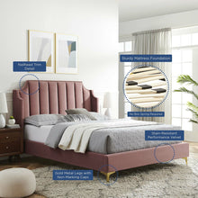 Load image into Gallery viewer, Daniella Performance Velvet Queen Platform Bed by Modway