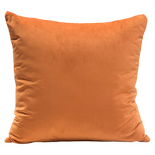 Load image into Gallery viewer, Set of (2) 16" Square Accent Pillows in Rust Orange Velvet by Diamond Sofa