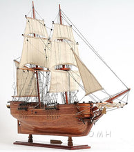 Load image into Gallery viewer, Lady Washington