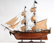 Load image into Gallery viewer, Pirate Ship Exclusive Edition