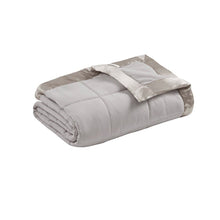 Load image into Gallery viewer, Microfiber Down Alternative Blanket W/ 3M Scotchgard -Twin MP51-1533 By Olliix